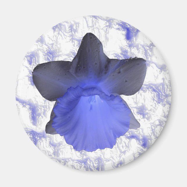 Imã Moody Blue Drivers Daffodil Magnet (Frente)