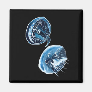 Imã MoonJellyfish — arte da aquarela