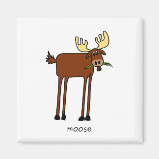 Imã Moose Magnet