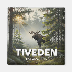 Imã Moose na Suecia do Parque Nacional de Tiveden