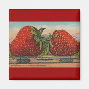 Imã Morangos Giant Antiguidade Diversão da Fruta