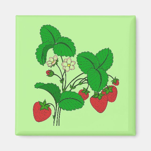 Imã Morangos para o café da manhã (Frente)