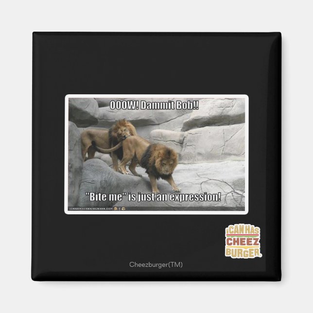 Imã Morda-me é só uma expressão! (Frente)