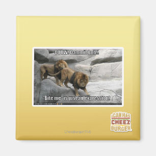 Imã Morda-me é só uma expressão!