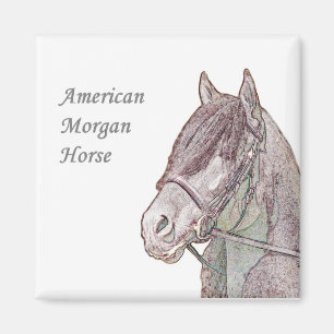 Imã Morgan Horse Magnet