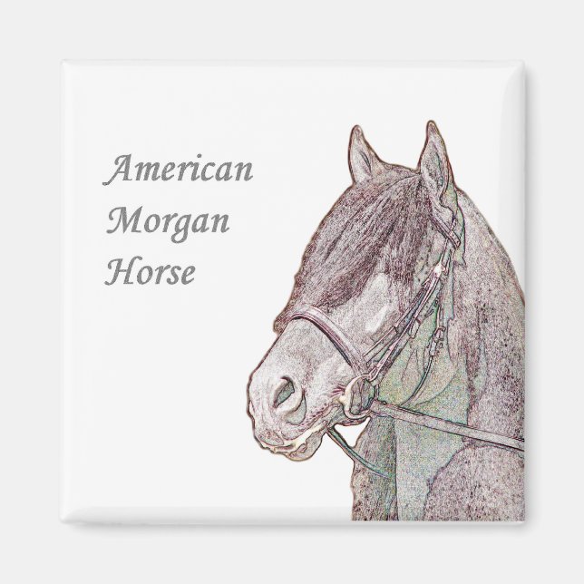 Imã Morgan Horse Magnet (Frente)
