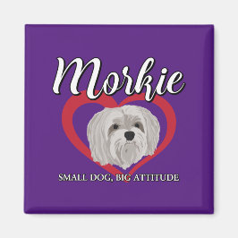 Imã Morkie - Cachorro Pequeno, Grande Atitude - 3