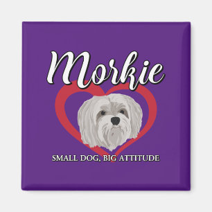 Imã Morkie - Cachorro Pequeno, Grande Atitude - 3