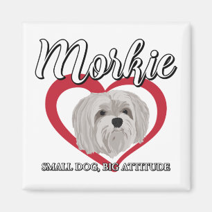 Imã Morkie - Pequeno Cão Grande Atitude 3