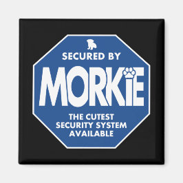 Imã Morkie-Segurança-Azul
