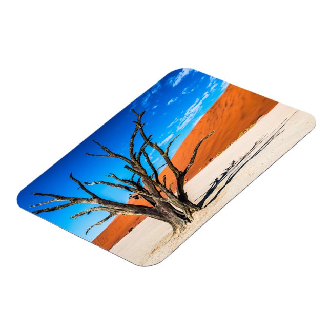 Ímã Morto em Deadvlei, Namíbia (Left Side)