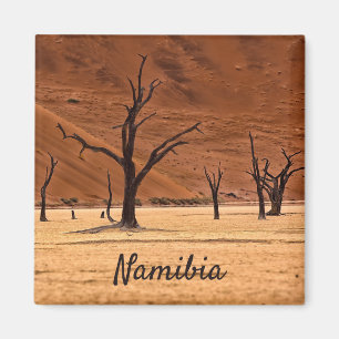 Imã Morto Vlei Namibia, foto da paisagem com texto