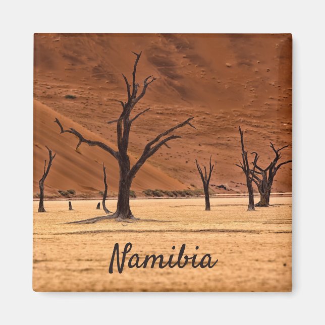 Imã Morto Vlei Namibia, foto da paisagem com texto (Frente)