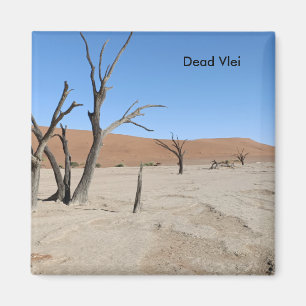 Imã Morto Vlei, Namíbia Magnet