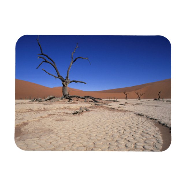 Ímã Morto Vlei, Sossusvlei, Namib-Naukluft Nacional (Horizontal)