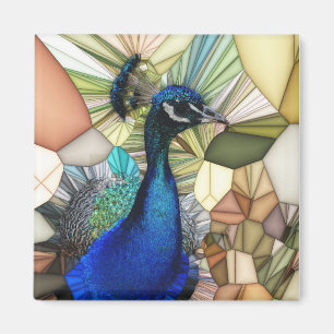 Imã Mosaico Colorido de Peacock