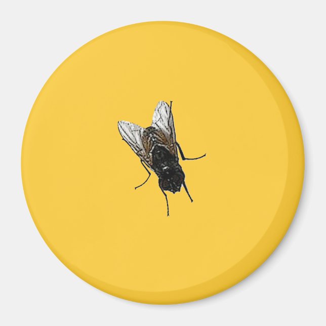 Imã mosca (Frente)