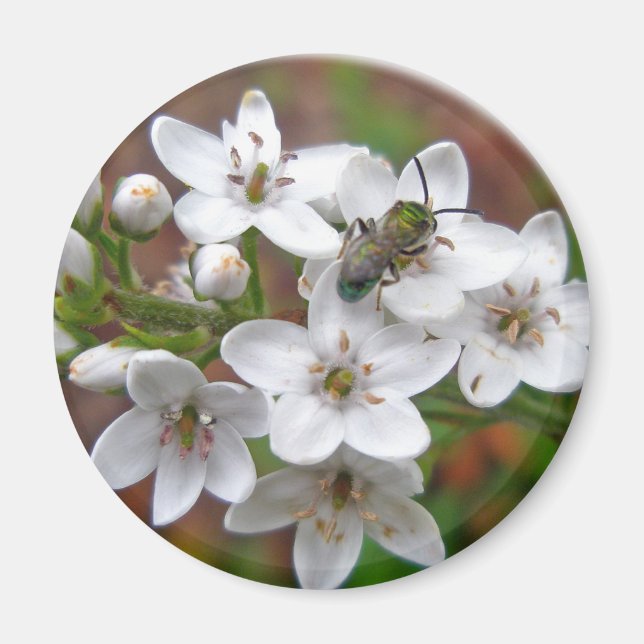 Imã Mosca Branca de Flores e Abelhas (Frente)