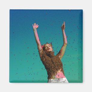 Imã mosca em a noite