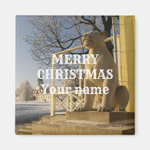 Imã Moscou. Inverno. Escultura de leão