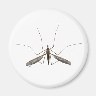 Imã Mosquito