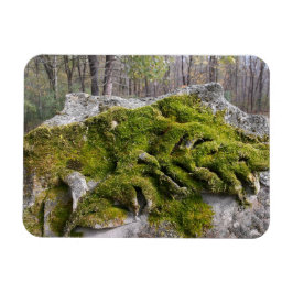 Ímã Mossy Broken Headstone