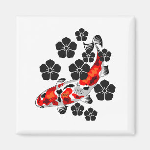 IMÃ MOSTRAÇÕES DE ELEGÂNCIA