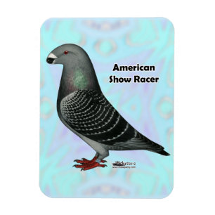 Ímã Mostrar ASR do Racer