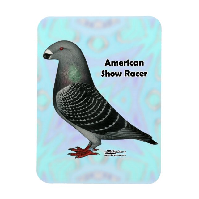 Ímã Mostrar ASR do Racer (Vertical)