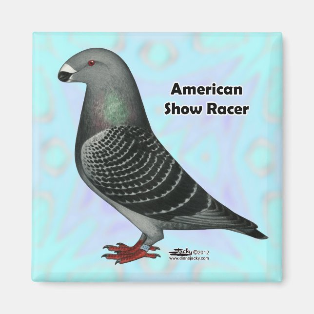 Imã Mostrar ASR do Racer (Frente)