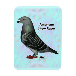 Ímã Mostrar ASR do Racer