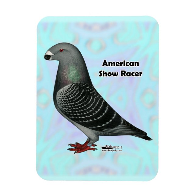 Ímã Mostrar ASR do Racer (Vertical)