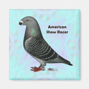 Imã Mostrar ASR do Racer