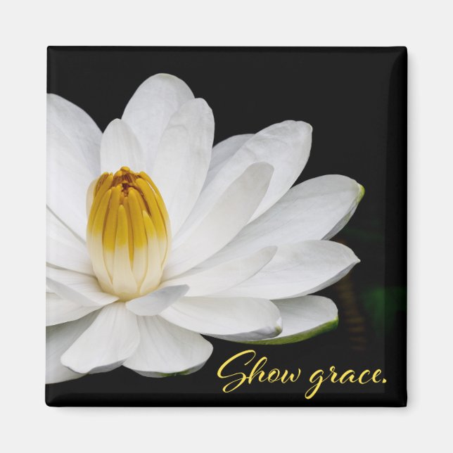 Imã Mostrar o Magneto de Graça (Frente)