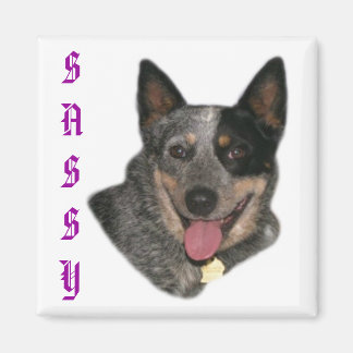 Imã Mostre seu orgulho