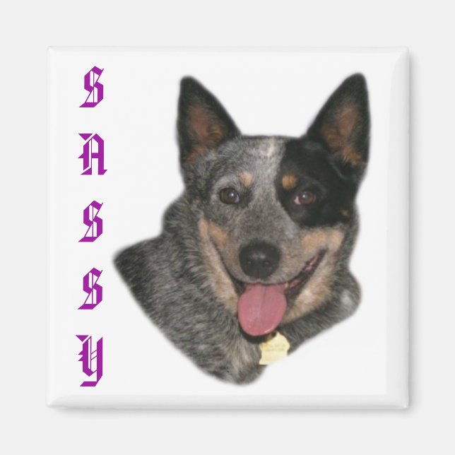 Imã Mostre seu orgulho (Frente)