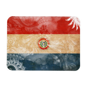 Ímã Mostre seu orgulho de Paraguai!