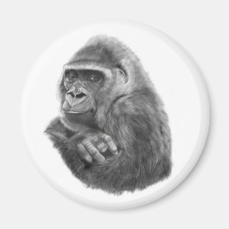 Imã Mother gorilla Magnet 母ゴリラのマグネッド