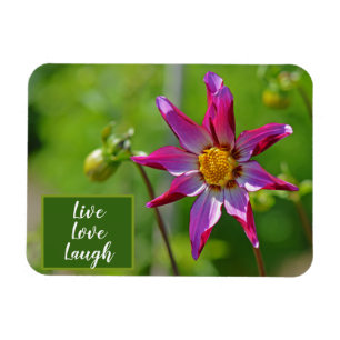 Ímã Motivação da Flor Dahlia Rosa e Púrpura