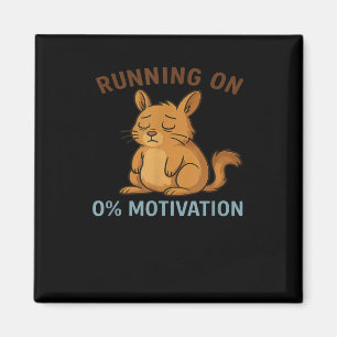 Imã Motivação Zero