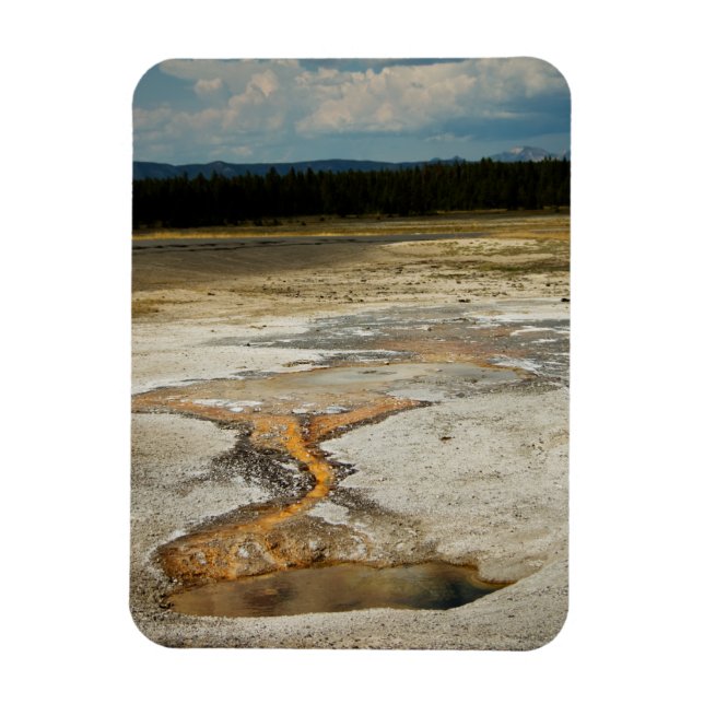 Ímã Motivos Pintados Magnete Premium (Vertical)