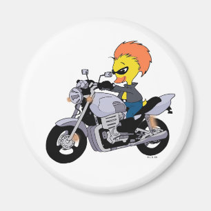 Imã Motociclista legal