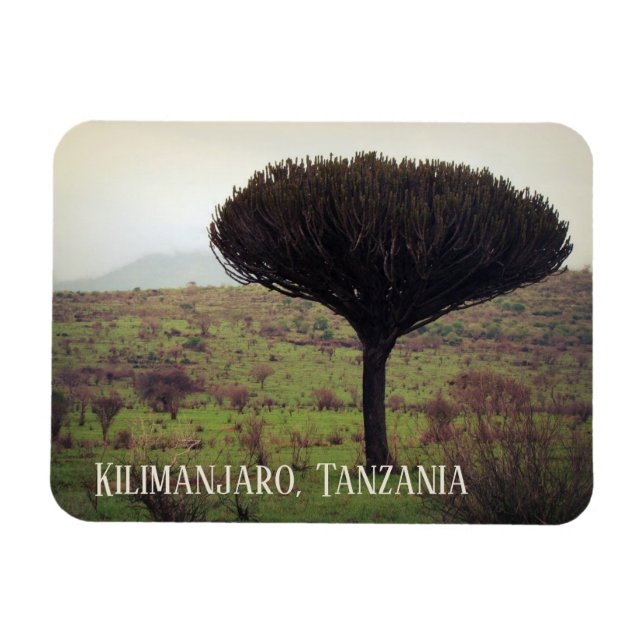 Ímã Mount Kilimanjaro, Candelabra Tree (Horizontal)