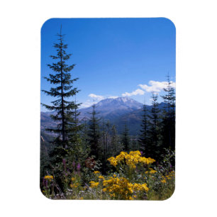Ímã Mount Saint Helens