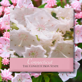 Imã Mountain Laurel Flor do Estado de Connecticut