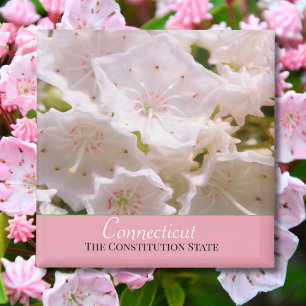 Imã Mountain Laurel Flor do Estado de Connecticut