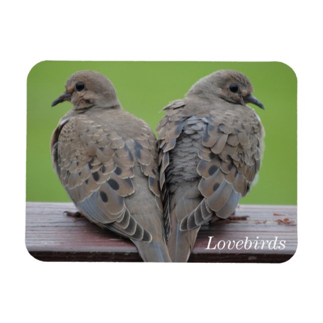 Ímã Mourning Doves (Horizontal)