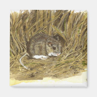 Imã Mouse de Campo