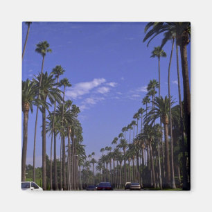 Imã Movimentação residencial do rodeio, Beverly Hill