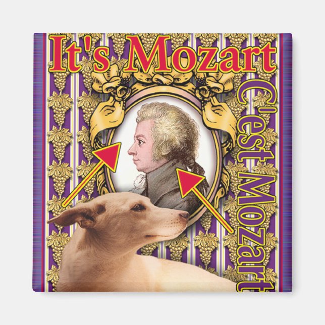 IMÃ MOZART (Frente)